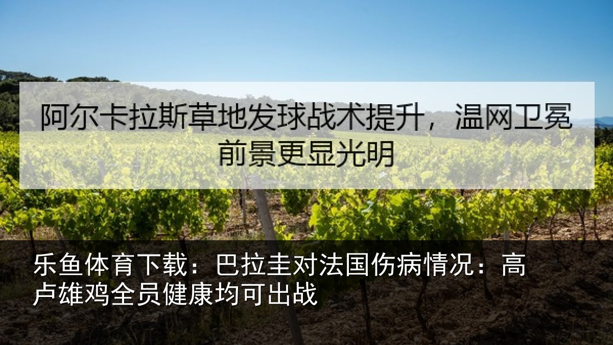 乐鱼体育下载：巴拉圭对法国伤病情况：高卢雄鸡全员健康均可出战