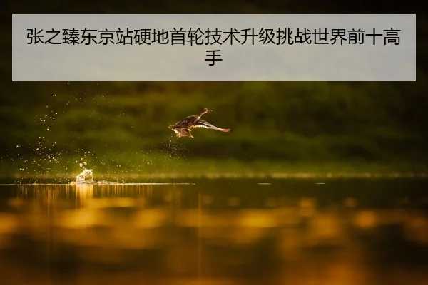 张之臻东京站硬地首轮技术升级挑战世界前十高手