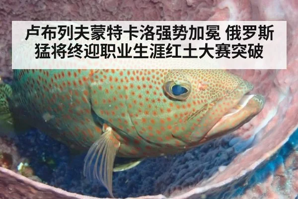 卢布列夫蒙特卡洛强势加冕 俄罗斯猛将终迎职业生涯红土大赛突破